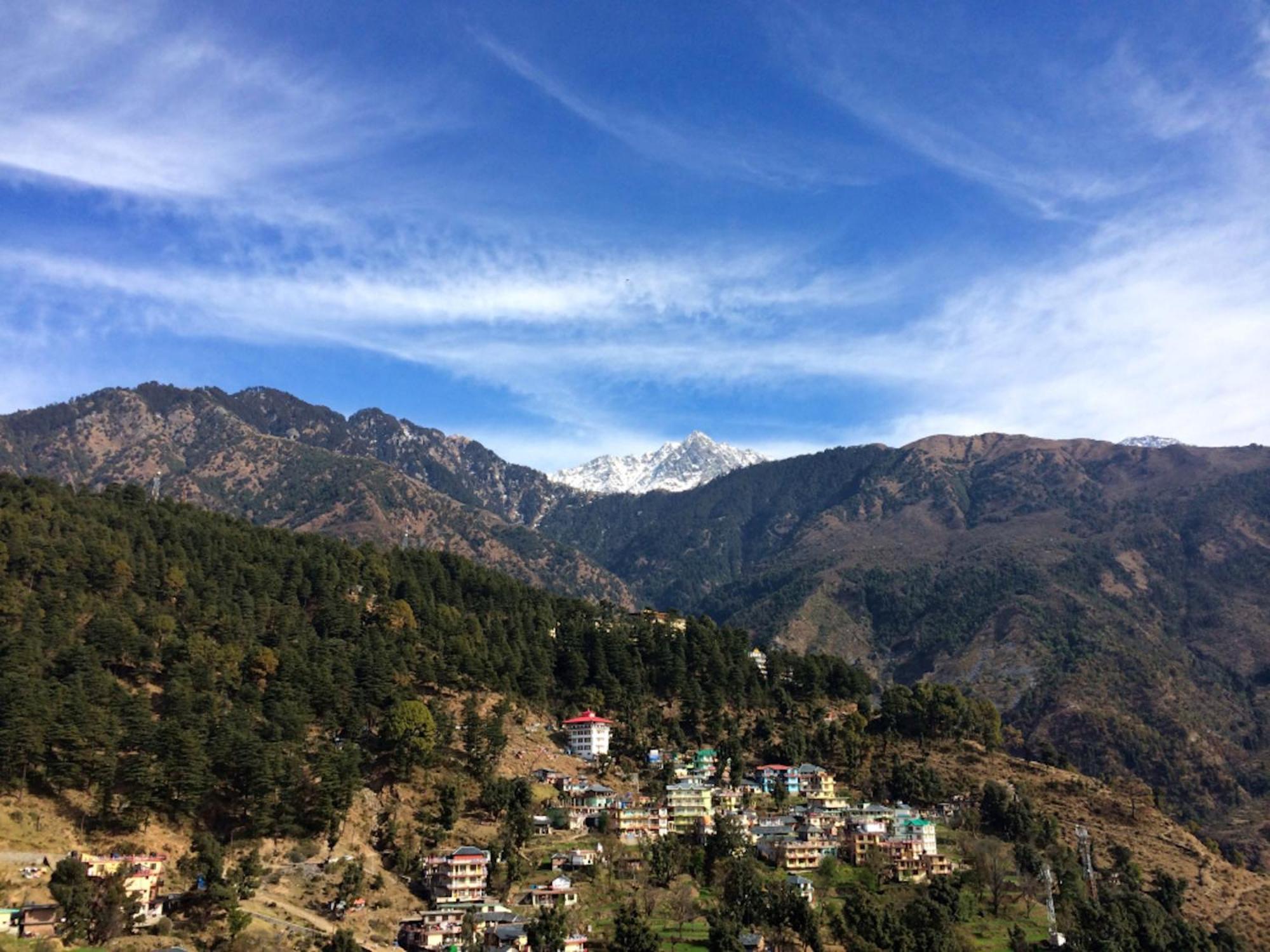 La Riqueza Koala Inn # 5 Mins From Mall Road # Mountain View Rooms # Private Parking #Family Hotel #Traveller'S Choice Hotel McLeod Ganj Exterior photo